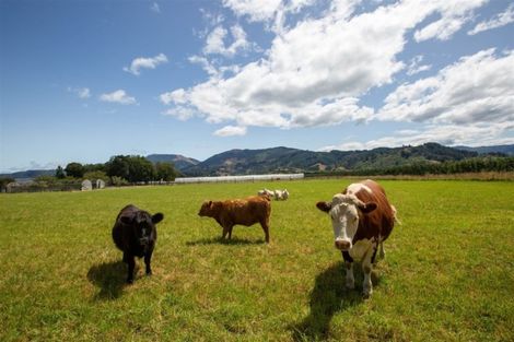 Photo of property in 421 Main Rd Riwaka, Riwaka, Motueka, 7198