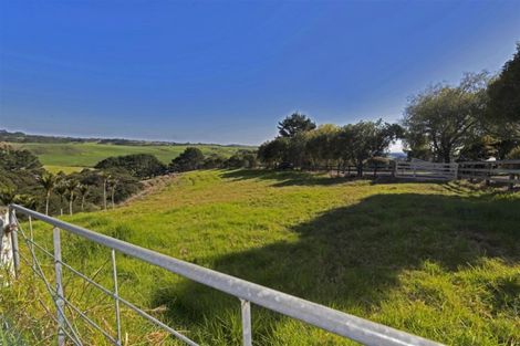 Photo of property in 195 Taiapa Road, Muriwai, Waimauku, 0881