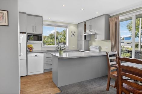 Photo of property in 208 Condell Avenue, Papanui, Christchurch, 8053