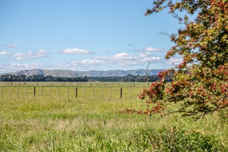 Photo of property in 357a Kahutara Road, Kahutara, 5771