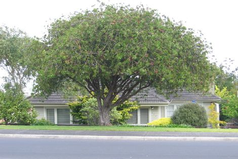 Photo of property in 194 East Coast Road, Forrest Hill, Auckland, 0620