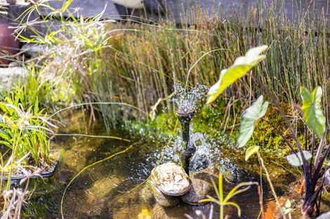 Photo of property in 93 Gibson Lane, Te Awamutu, 3800