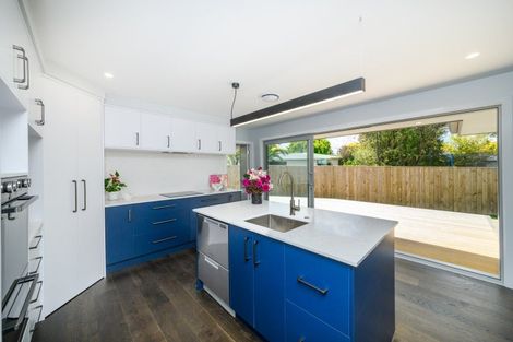 Photo of property in 163a Denbigh Street, Feilding, 4702