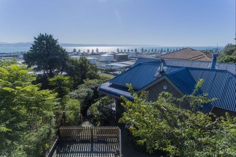 Photo of property in 129 Chaucer Road, Hospital Hill, Napier, 4110