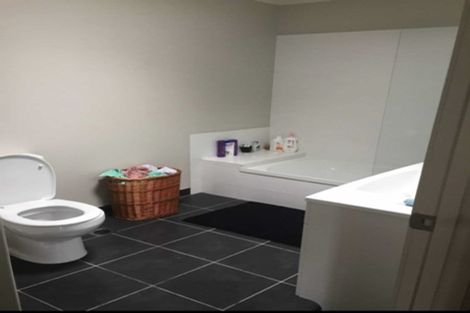 Photo of property in 29e Campbell Street, Frankton, Hamilton, 3204