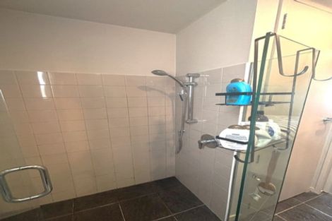 Photo of property in The Lofts, 39/185 Victoria Street, Te Aro, Wellington, 6011