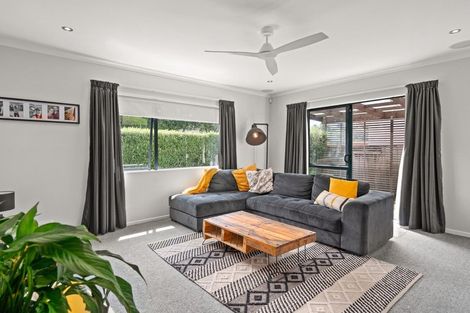 Photo of property in 45 Solomon Street, Brookfield, Tauranga, 3110