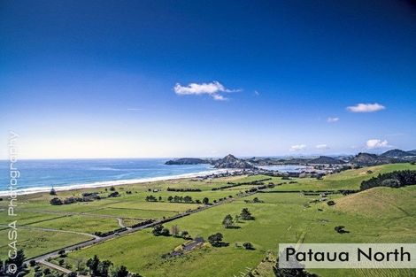 Photo of property in 1850 Pataua North Road, Pataua North, Whangarei, 0175