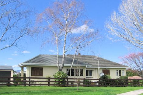 Photo of property in 176 Edgecumbe Road, Tauranga South, Tauranga, 3112