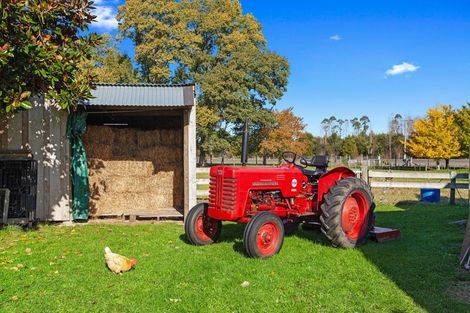 Photo of property in 763 White Pine Bush Road, White Pine Bush, Whakatane, 3191