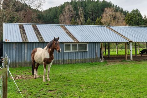 Photo of property in 169 Ringawhati Road, Otaki, 5583