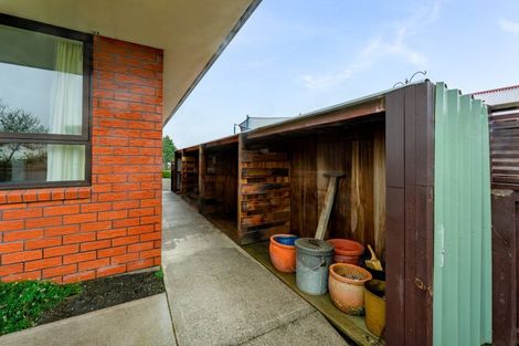 Photo of property in 20b Hewlings Place, Temuka, 7920