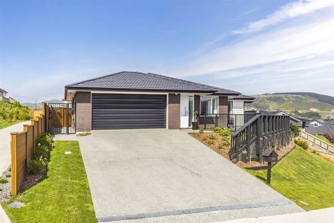 Photo of property in 113 John Burke Drive, Aotea, Porirua, 5024