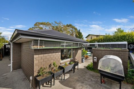 Photo of property in 1a Chante Crescent, Renwick, 7204