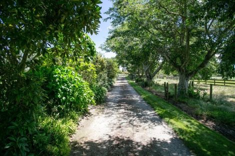 Photo of property in 128 Matai Road, Matamata, 3472