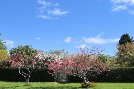 Photo of property in 4 Karamu Street, Taupo, 3330