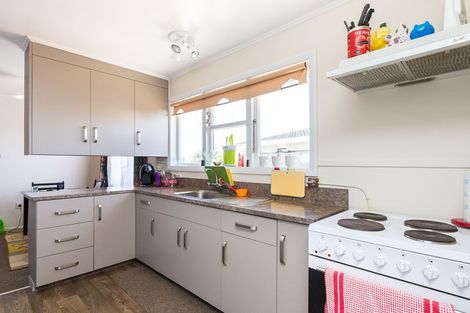 Photo of property in 333 Albert Street, Hokowhitu, Palmerston North, 4410