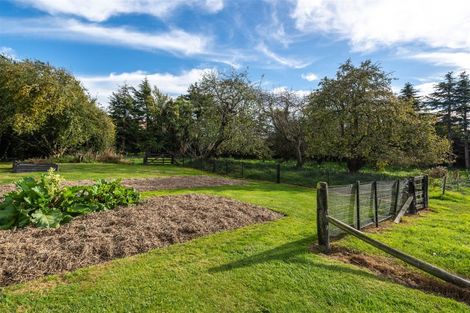 Photo of property in 129 Feredays Road, Leeston, 7683