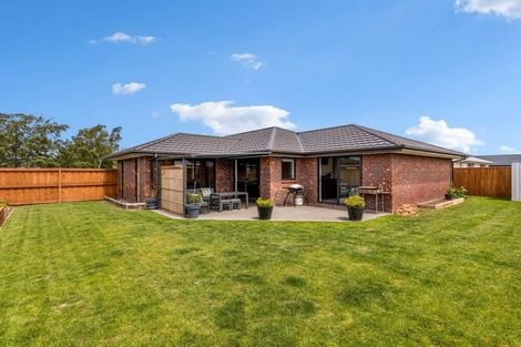 Photo of property in 31 Hurley Drive, Rolleston, 7615