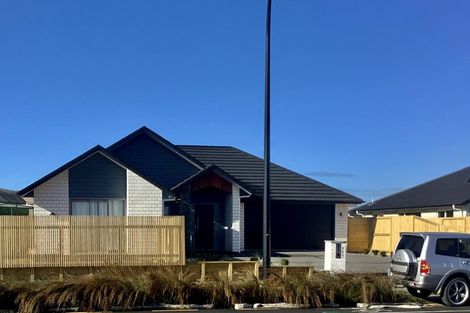 Photo of property in 197 Borman Road, Rototuna North, Hamilton, 3210
