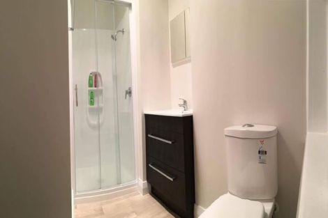 Photo of property in Drummond Street Flats, 17/19 Drummond Street, Mount Cook, Wellington, 6021