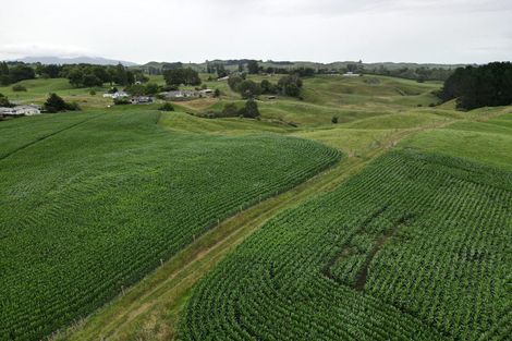 Photo of property in 69 Overdale Road, Putaruru, 3411