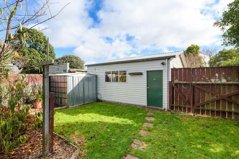 Photo of property in 53 Manson Street, Terrace End, Palmerston North, 4410