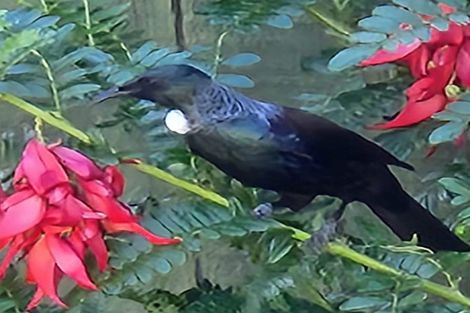 Photo of property in 3 Topaz Street, Birchville, Upper Hutt, 5018