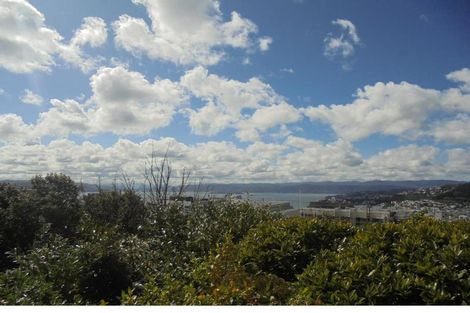 Photo of property in 4 Springfield Terrace, Kelburn, Wellington, 6012