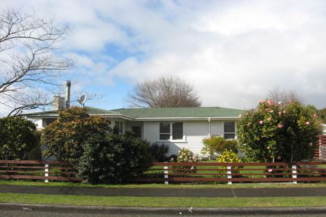 Photo of property in 3 Daniell Street, Solway, Masterton, 5810