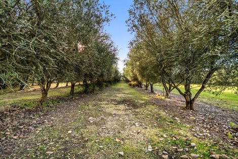Photo of property in 46 Vicenza Drive, Ohoka, Kaiapoi, 7692