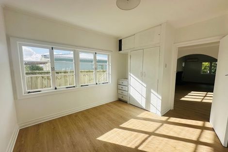 Photo of property in 271 Mount Albert Road, Wesley, Auckland, 1041