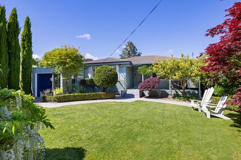 Photo of property in 11 Keats Terrace, Leamington, Cambridge, 3432