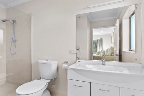 Photo of property in 63 Winchester Street, Levin, 5510