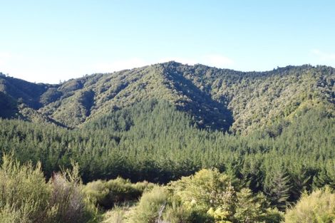 Photo of property in 1677 Takaputahi Road, Toatoa, Opotiki, 3197
