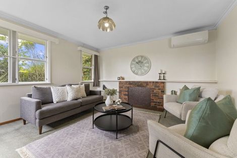 Photo of property in 252a Victoria Avenue, Hokowhitu, Palmerston North, 4410