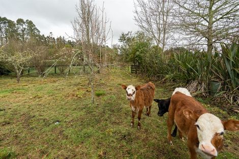 Photo of property in 779 Te Pahu Road, Te Pahu, Hamilton, 3285