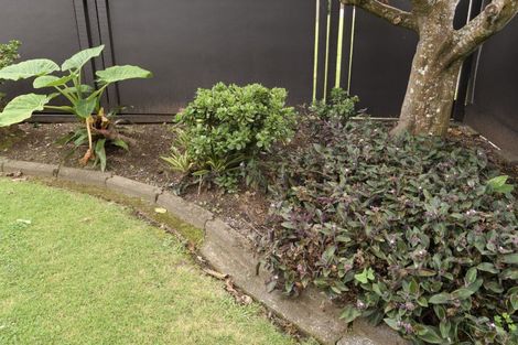 Photo of property in 14 Levers Road, Matua, Tauranga, 3110