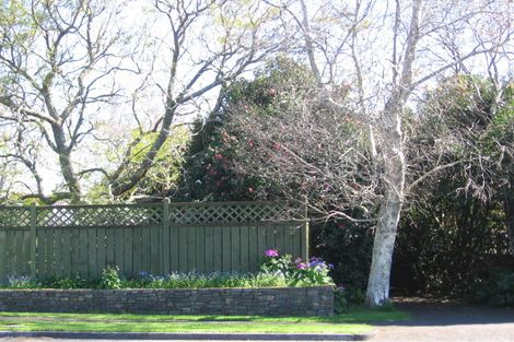 Photo of property in 360 Maungatapu Road, Maungatapu, Tauranga, 3112