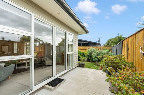 Photo of property in 35 John Mcdonald Mews, Masterton, 5810