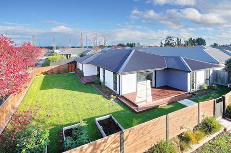 Photo of property in 9 Seaward Street, Pegasus, 7612