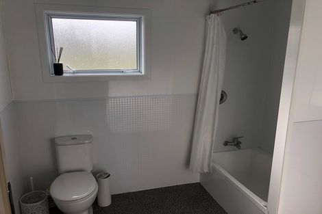 Photo of property in 9 Albert Street, Saint Clair, Dunedin, 9012