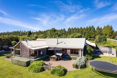 Photo of property in 223 King Road, Inglewood, 4386