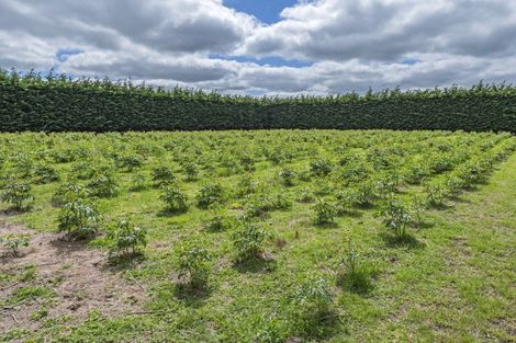 Photo of property in 2924 North Rakaia Road, Bankside, Rakaia, 7783
