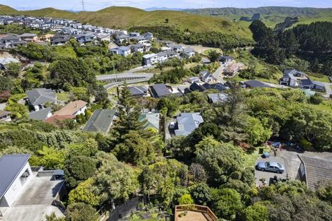 Photo of property in 21a Lomita Road, Johnsonville, Wellington, 6037