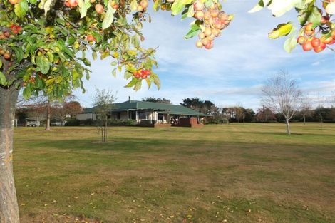 Photo of property in 186 Claremont Road, Otipua Creek, Timaru, 7974
