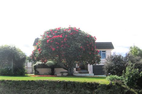 Photo of property in 213 Fourteenth Avenue, Tauranga South, Tauranga, 3112