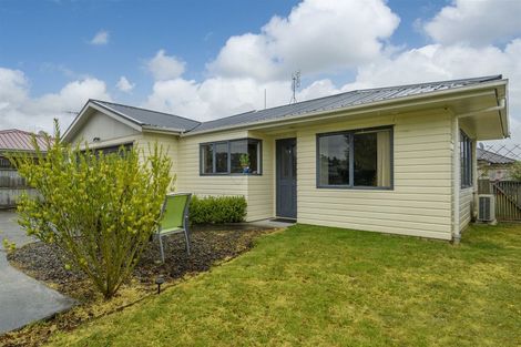 Photo of property in 58b Solomon Street, Brookfield, Tauranga, 3110