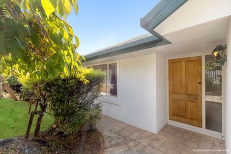 Photo of property in 6 Greenwood Place, Richmond, 7020