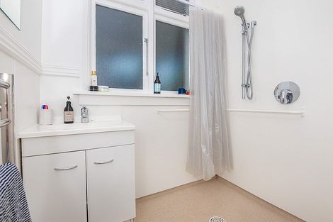 Photo of property in 22 Brown Street, Dunedin Central, Dunedin, 9016